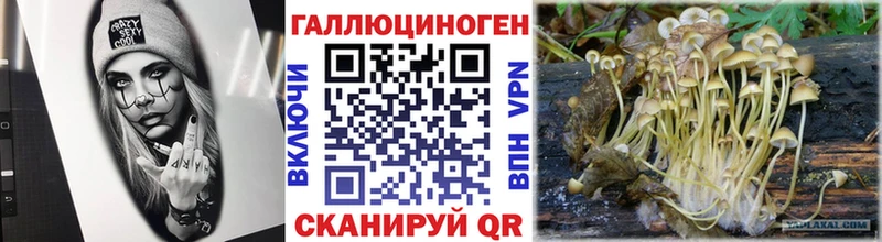 ОМГ ОМГ ссылки  Лермонтов  Галлюциногенные грибы Psilocybe  наркошоп 